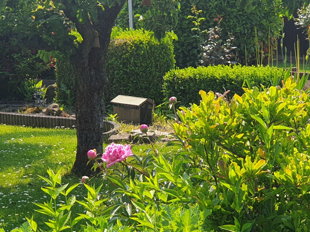 Bilder von Pächtern